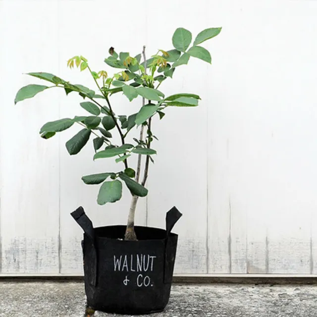 【Root Pouch】美植袋(W35cm H30cm/30L)