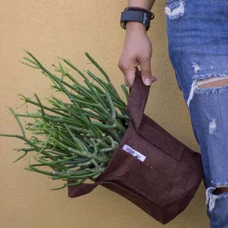 【Root Pouch】美植袋(W43cm H38cm/56L)