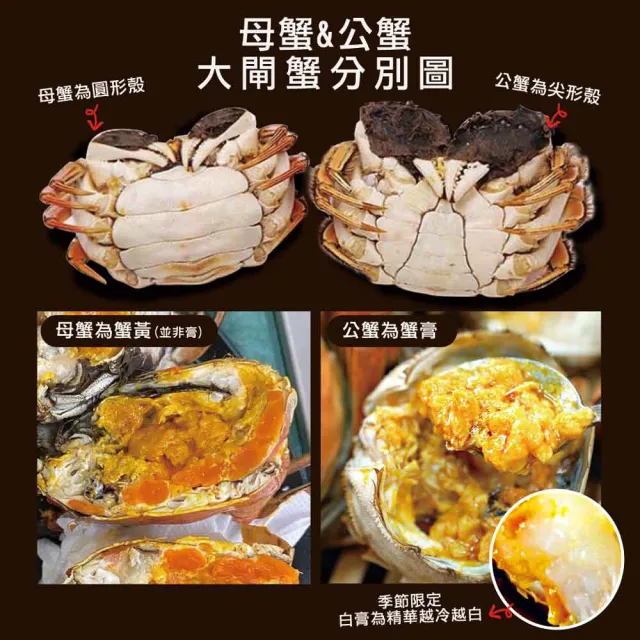 【築地一番鮮】母4兩上大閘蟹 10隻/贈工具組/江南大閘蟹
