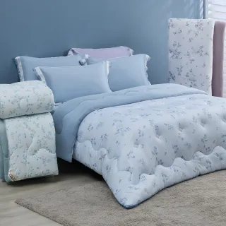 【Tonia Nicole 東妮寢飾】德國防螨抗菌科技水洗冬被-雙人(多款任選/棉被/冬被)