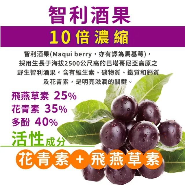 【友GO健康】全方位視界10倍濃縮智利酒果 葉黃素+蝦紅素+DHA30顆/盒(雙專利九大明亮配方)