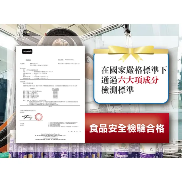 【SUNLIFE 森萊富】德國原裝發泡錠 20錠/盒 3盒組 口味任選(共60錠 鋅+C+E/鐵+C)