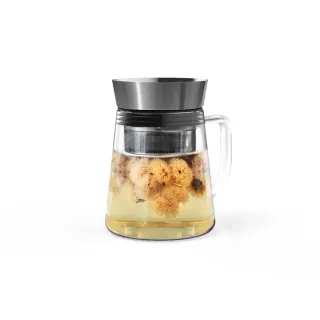 【Driver】甘丹茶壺-500ml(專利設計 茶具 泡茶壺 熱茶壺 沏茶壺 冷泡茶 耐熱玻璃壺)