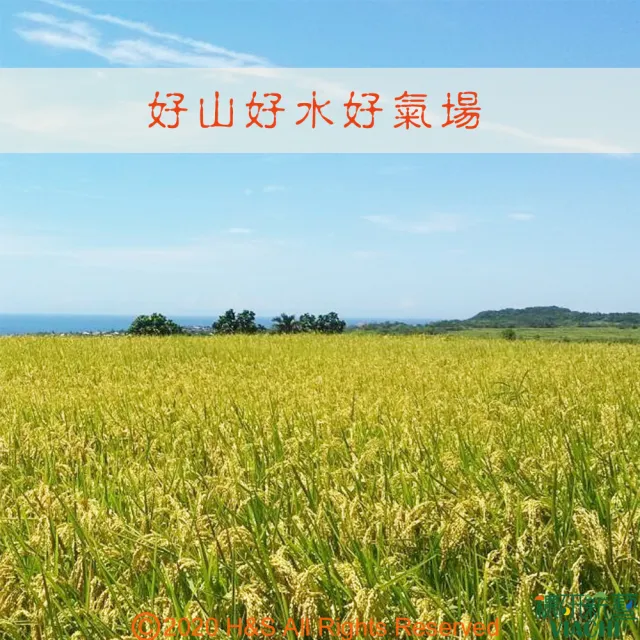 【穠研薪藝】台東長濱天癒五生糙米X2包組(1.8公斤/包)
