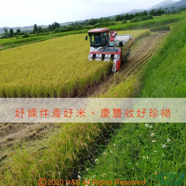 【穠研薪藝】台東長濱天癒五生胚芽米X1包組(3公斤/包)
