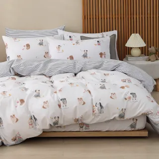 【HongYew 鴻宇】100%精梳棉 兩用被床包枕套組 單人/雙人/加大/特大(多款)