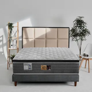 【SLIM】激厚型 石墨烯乳膠透氣獨立筒床墊(雙人5尺)