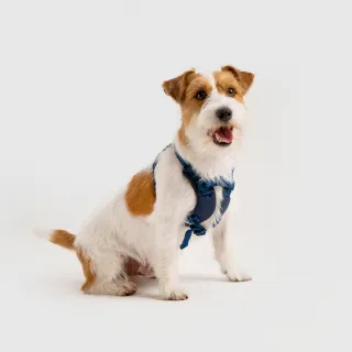 【SPUTNIK 斯普尼克】Explore 胸背帶 S+號｜台灣製造・不傷氣管(貓狗適用 寵物外出用品 寵物胸背帶)