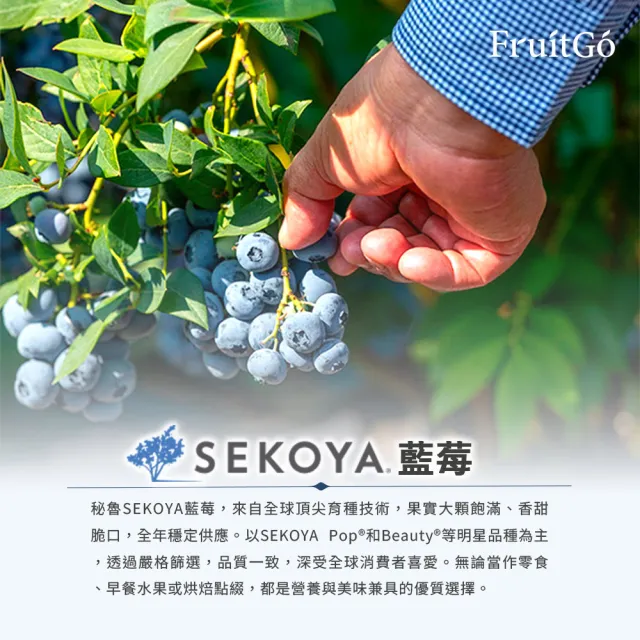 【FruitGo 馥果】祕魯 進口新鮮藍莓 18mm+巨無霸12盒*1箱(1.5kg±10%原箱產地直送_水果禮盒送禮)