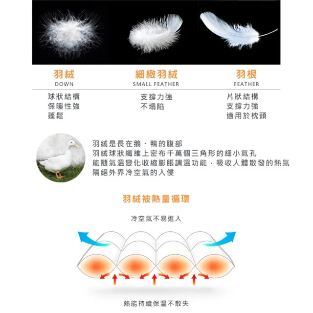 【Great Living 格蕾寢飾】La Belle 法國天然水鳥羽毛絨暖冬被/棉被1.3KG(單人 150x210cm)