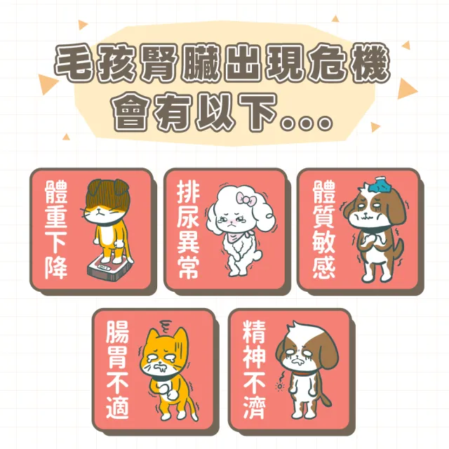 【GOODMO 歸毛家族】Good寶系列-護腎寶30粒*4瓶(寵物 保健品 腎臟保健 貓 狗)
