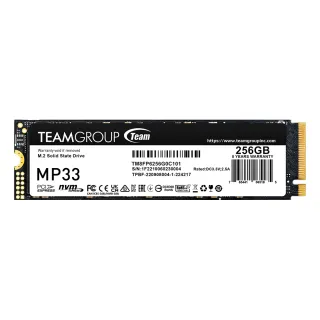 【Team 十銓】MP33 256GB M.2 PCI-E SSD 固態硬碟