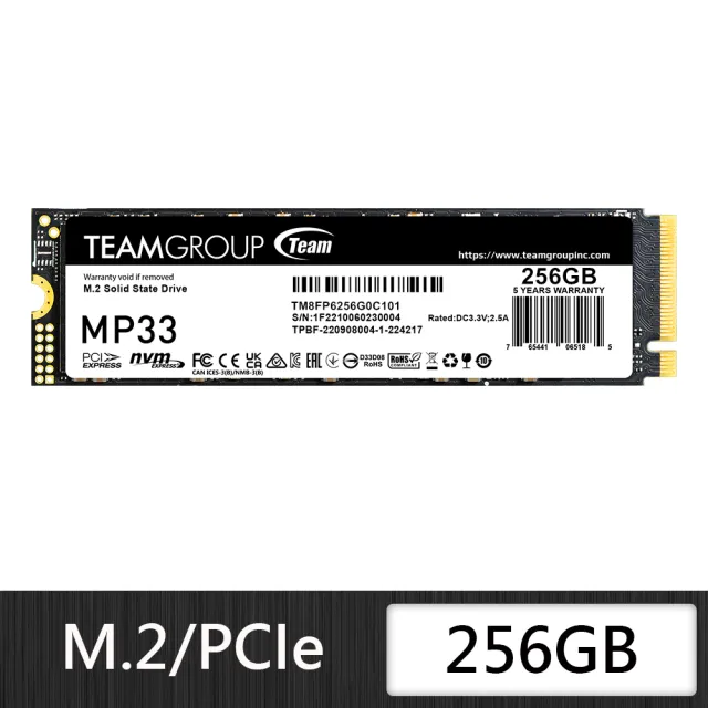 【Team 十銓】MP33 256GB M.2 PCI-E SSD 固態硬碟