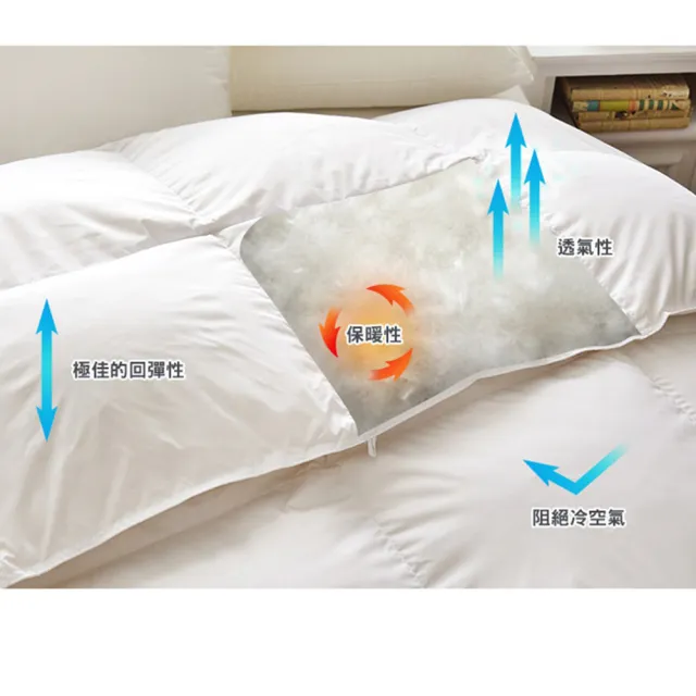 【Great Living 格蕾寢飾】La Belle 法國天然水鳥羽毛絨暖冬被/棉被2KG(特大 240x210cm)
