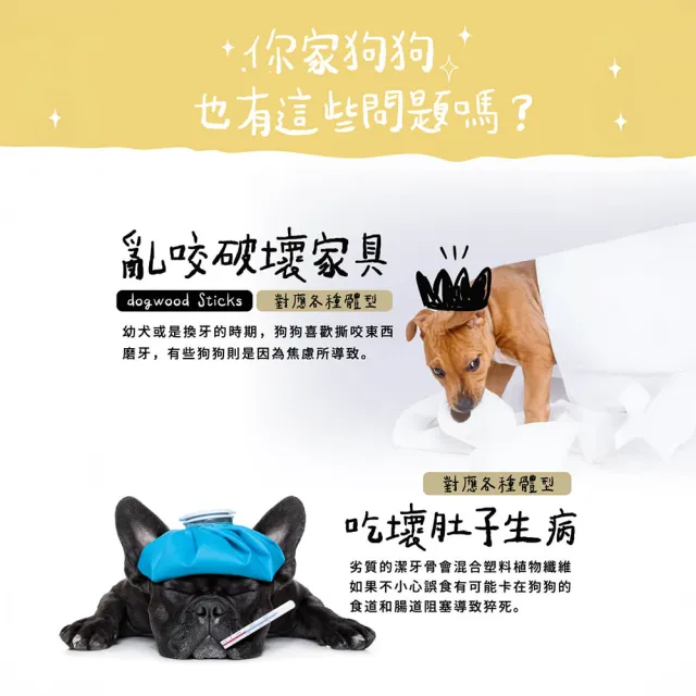 【outward hound】森林史迪克 寵物玩具 2件組 L 大型犬適用 原Petstages 潔牙 狗玩具