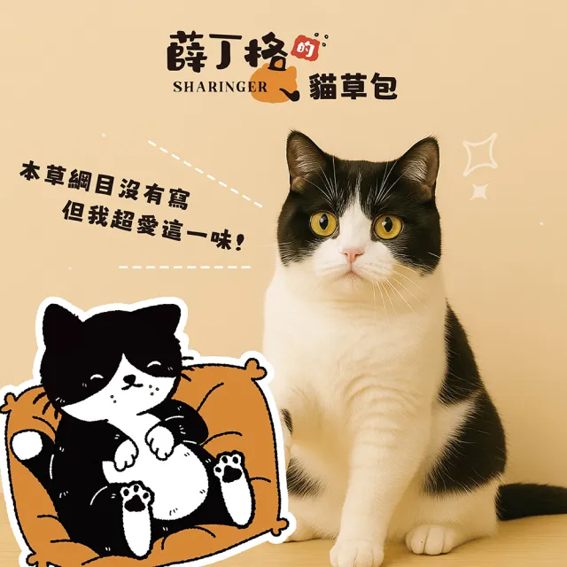 【SHARINGER 薛丁格】貓草包 貓咪玩具 貓薄荷玩具 紓壓玩具 2入組(爽爽爽+爽到翻身)