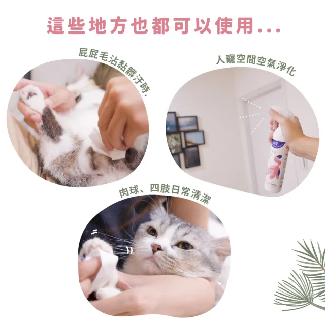 【光能淨】貓咪專屬！瞬效去味除菌噴霧600ml-防蚤雪松(抗菌除臭 肌膚護理 防蚤驅蟲 去油清爽)