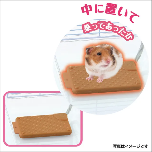 【GEX】小動物兩用加熱板 S號(保暖/小動物/加熱板)