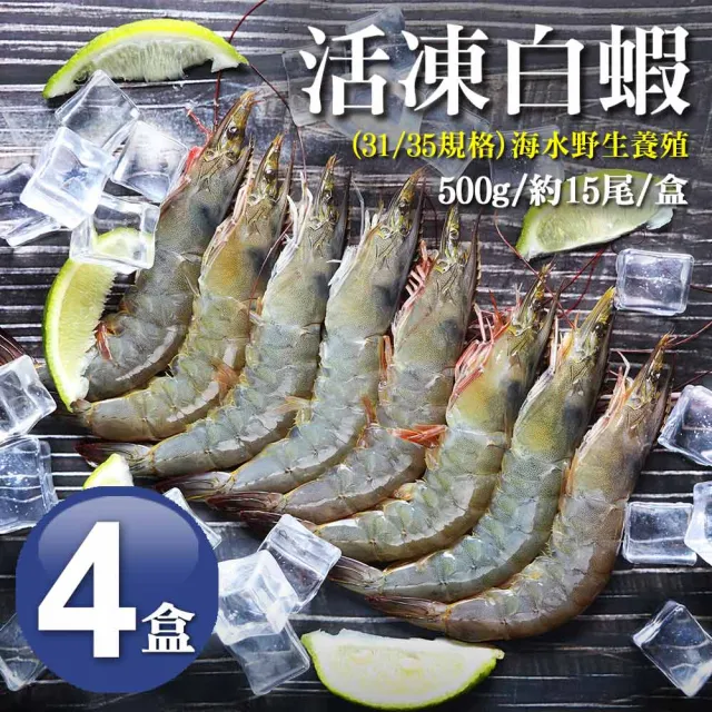 【築地一番鮮】31/35｜海水養殖白蝦500g｜4盒(約500g/盒/約15尾)
