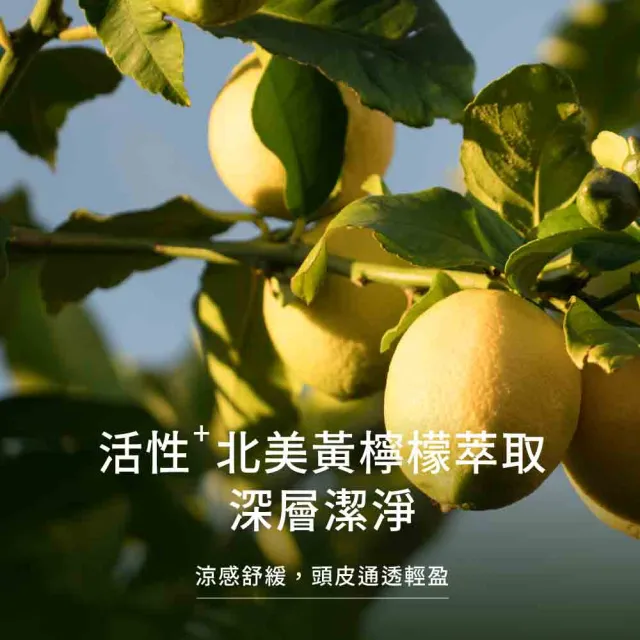 【greenvines 綠藤生機】小容量嚐鮮上市★蜂膠Plus頭皮淨化洗髮精200ml(增量10%巴西綠蜂膠)