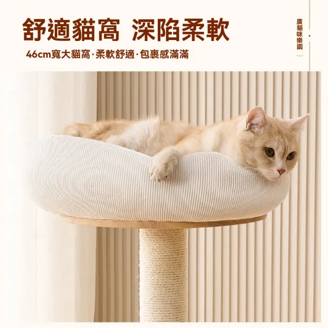 【佳美多】實木貓爬架 貓窩貓樹一體直立 貓抓板 家用小型不佔地貓爬架(耐抓 劍麻柱 貓窩 多款可選)