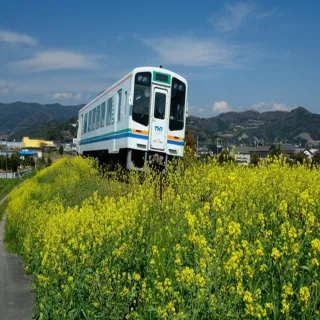 【喜鴻假期】【日航雙城６日】富士山玩雪、採草莓、濱名湖鐵道、館山寺纜車、鐘乳石洞、御殿場購物