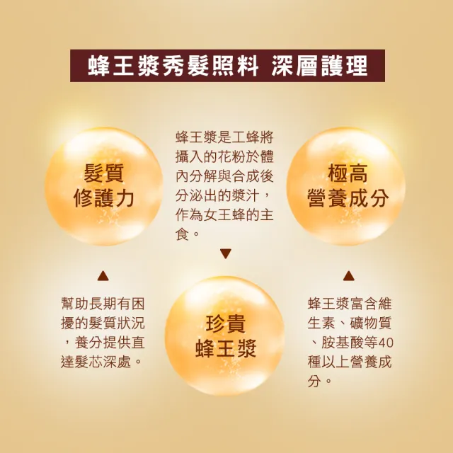【KeraSys 可瑞絲】蜂王漿活力光澤 洗髮精/護髮素1000ml(經典蜂膠 台灣總代理)
