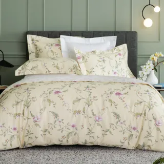 【WEDGWOOD】經典薄被套床包枕套四件組 雙人(100%天絲/長纖棉 任選)