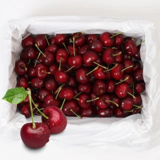 【RealShop】智利空運鮮採XJ/9.5R-10R櫻桃禮盒5kg±10%(2-3JD智利櫻桃原裝 真食材本舖)