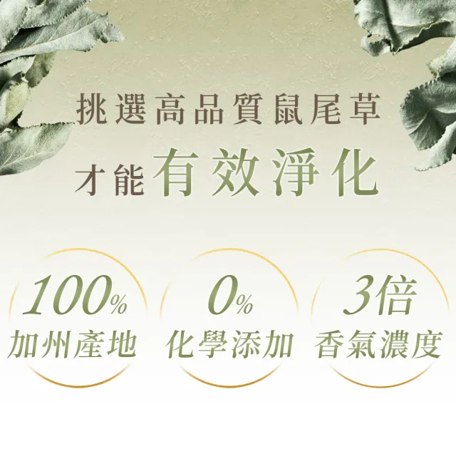 【原木香】白色鼠尾草臥香(30克 約45柱 鼠尾草 臥香 線香 淨化磁場)