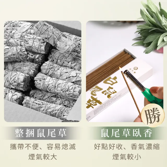 【原木香】白色鼠尾草臥香(30克 約45柱 鼠尾草 臥香 線香 淨化磁場)