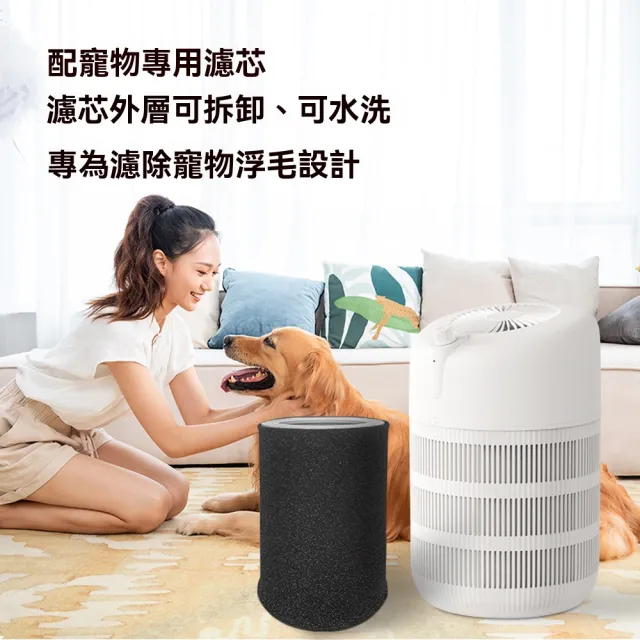 【Felsted 菲仕德】空氣淨化器 寵物除臭機 空氣清淨機(空氣消毒機 家用貓狗除毛 除異味 負離子空氣淨化)
