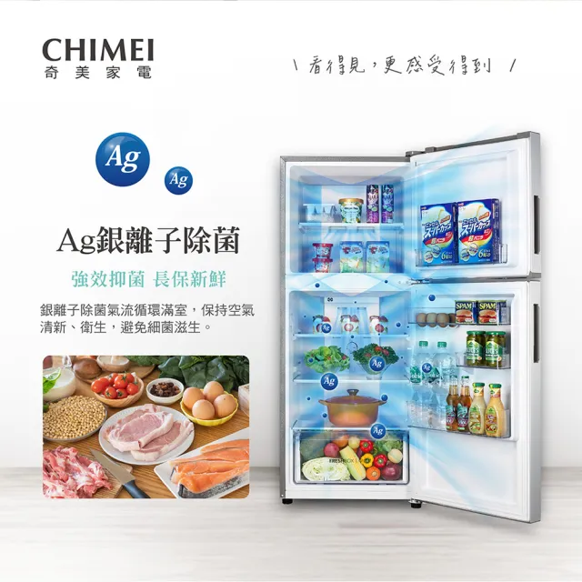 【CHIMEI 奇美】195公升一級能效雙門變頻電冰箱(UR-A198VB)