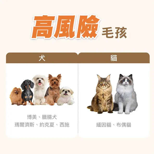 【HOMI 毛與家】心樂活 寵物心血管保健粉-30包x4盒(貓咪保健 老狗 老年貓狗 心臟保健 寵物保健品 犬貓適用)