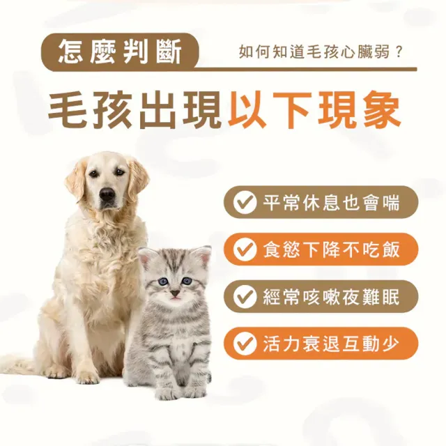 【HOMI 毛與家】心樂活 寵物心血管保健粉-30包x3盒(貓咪保健 老狗 老年貓狗 心臟保健 牛磺酸 Q10 犬貓適用)