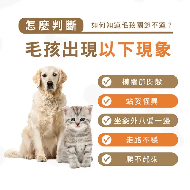 【HOMI 毛與家】寵物關節保健粉 好關膝30包x3盒(狗關節 綠貽貝 膠原蛋白 軟骨素 靈活行動力補充 犬貓適用)