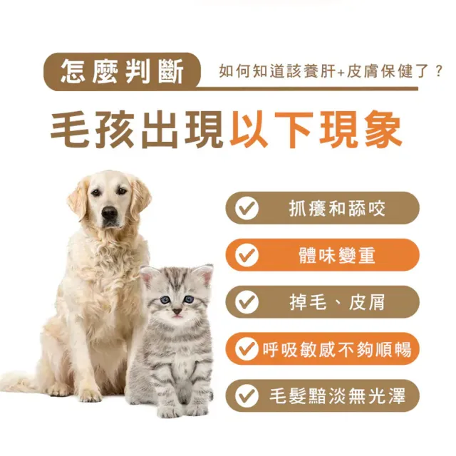 【HOMI 毛與家】肌優股 皮毛保健粉-30包/盒(寵物益生菌 狗皮膚保健 狗益生菌 貓益生菌 犬貓適用)