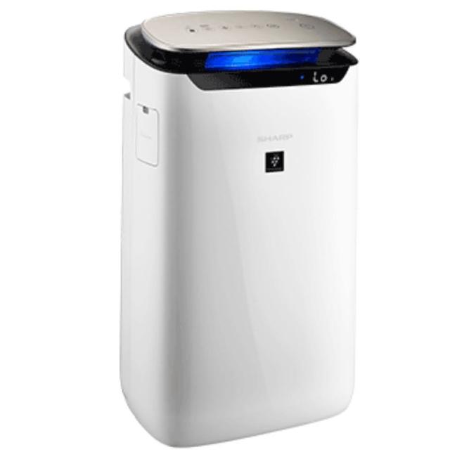 【SHARP 夏普】19坪 自動除菌離子空氣清淨機(FP-J80T-W)
