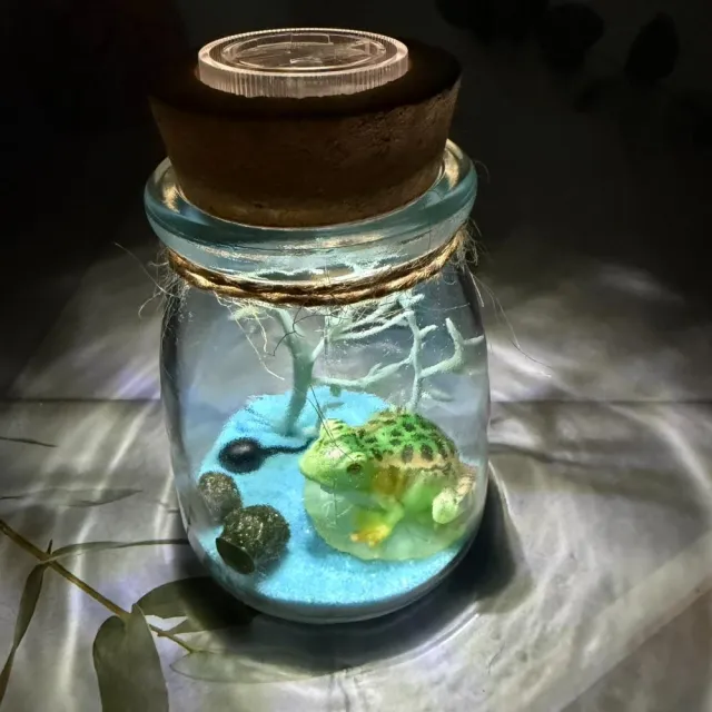 【A-ONE 匯旺】綠色大青蛙 水草花園瓶 含2顆綠藻 白光LED 150ml布丁杯 DIY綠藻球生態盆栽
