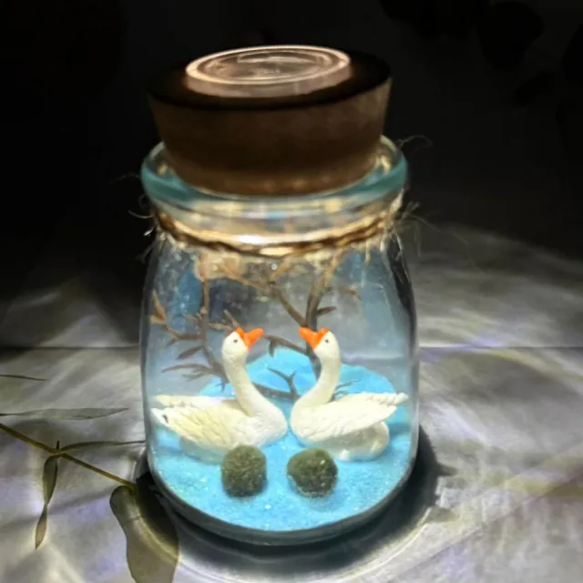 【A-ONE 匯旺】2隻展翅天鵝 室內植栽瓶 含2顆綠藻 白光LED 150ml布丁杯 DIY綠藻球玻璃瓶