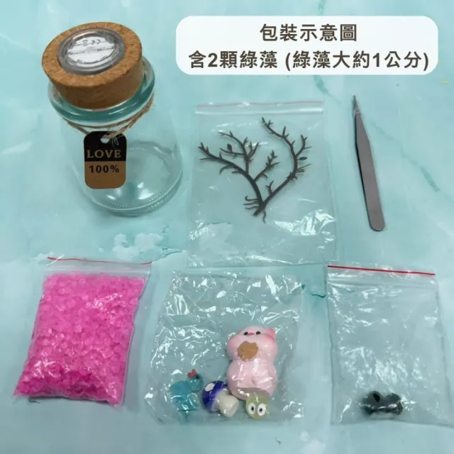 【A-ONE 匯旺】太空飛船 綠藻球生態水草 含2顆綠藻 白光LED 150ml布丁杯 DIY微景觀植物擺飾