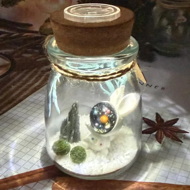 【A-ONE 匯旺】太空兔 綠藻球微景觀生態盆栽 含2顆綠藻 白光LED 150ml布丁杯 DIY生日禮物