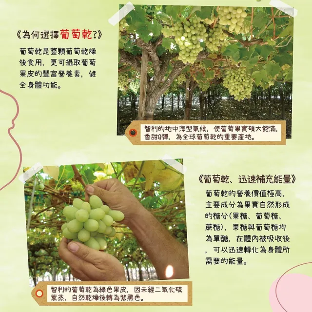 【統一生機】果然優葡萄乾400gx6罐