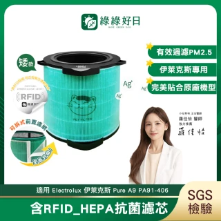 【綠綠好日】含RFID_適用 Electrolux 伊萊克斯 Pure A9 PA91-406GY PA91-406DG HEPA抗菌濾芯(濾網)