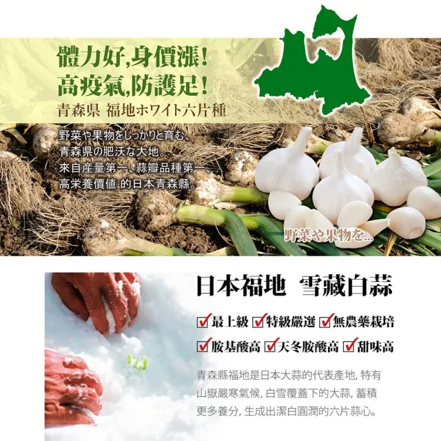 【ITOH 井藤】日本國產雪藏無臭大蒜精×1盒(90粒/盒 青森雪藏白蒜 無臭 保護力大加分 增加體力)
