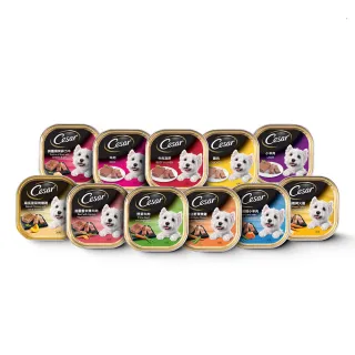 【Cesar 西莎】經典風味餐盒 100g*48入 寵物/狗罐頭/狗食(口味任選/狗罐/犬餐盒/熟齡犬/全齡適用)