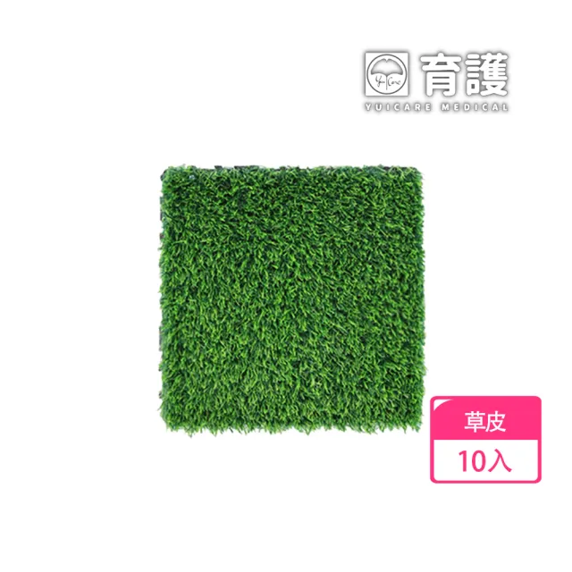 【2026】塑膠地板推薦10款高評價人氣品牌排行榜 | BALIMAN情報局