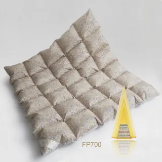 【皇室羽毛工房】日本甲殼素抗菌羽絨冬被(雙人)