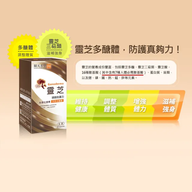 【順天本草】靈芝子實體膠囊 60顆X2盒(純天然靈芝子實體 科學化提煉)