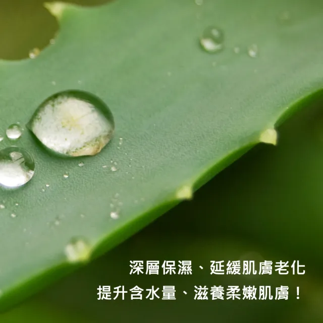 【廣源良】蘆薈細緻潤膚凝露4入組(140ml*4入)